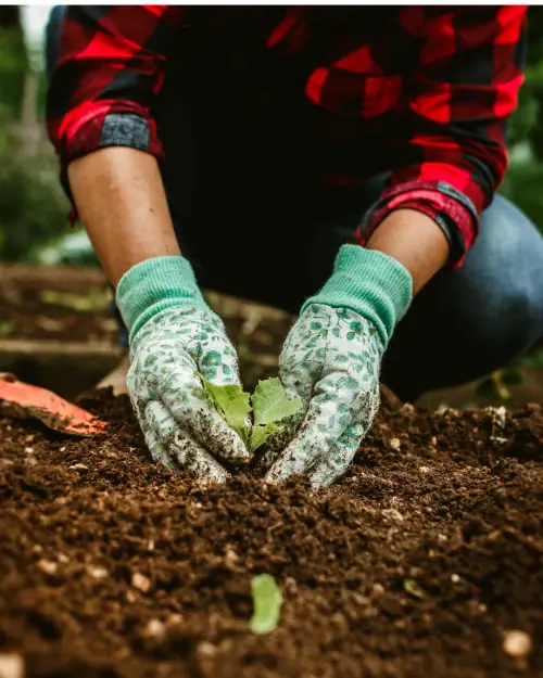 Simple Tips for Safe and Enjoyable Gardening